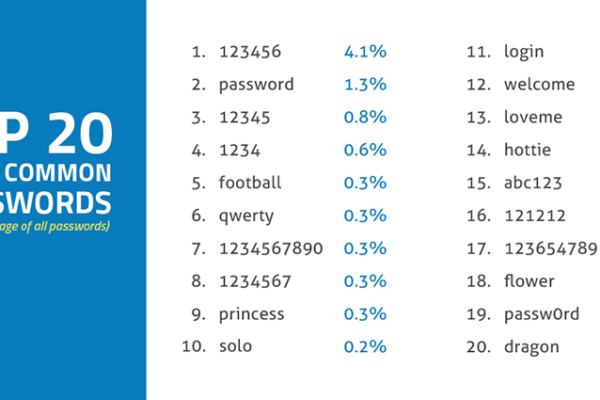 Top Passwords Used